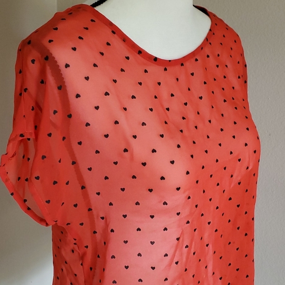 Sheer Blouse - Picture 4 of 4